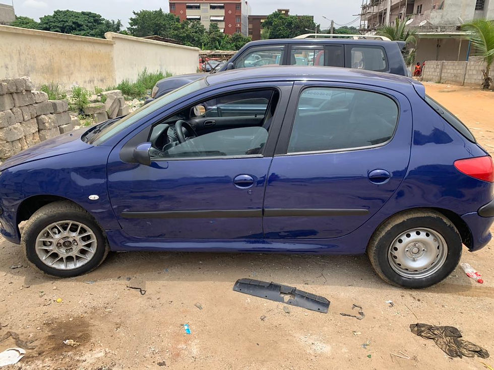 Miniature : SUPER PEUGEOT 206