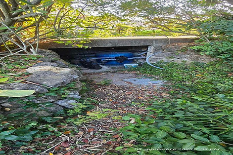 nid-frelon-opio-5sept2025