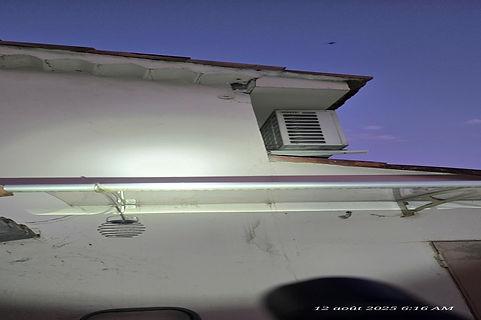 frelons-asiat-toiture-intervention-nuit-120825