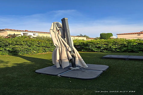 nid-guepes-parasol-antibes