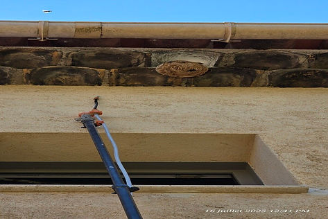 destruction-frelon-hauteur-perche-antibes-160725
