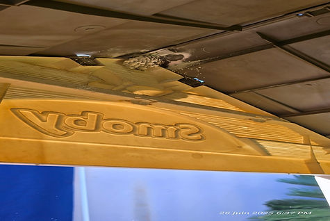 nids-guepes-parasol-cabane-antibes