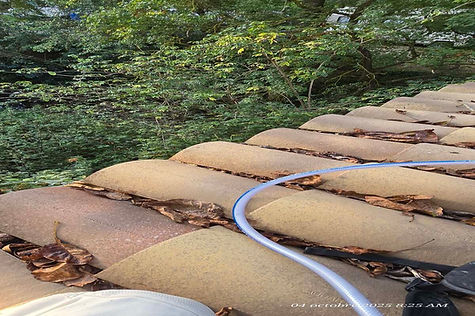 traitement-toit-frelon-europeen-chateauneuf-040825