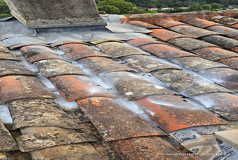 mde-frelons-intervention-biot-10-aout-2025