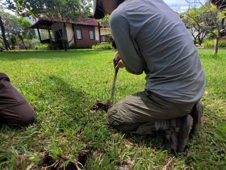 Tree Planting at NDC Resort