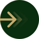 Group 2 (1).png