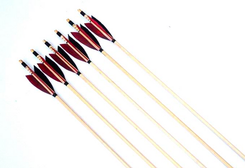 6pc Mini Arrow | alibow
