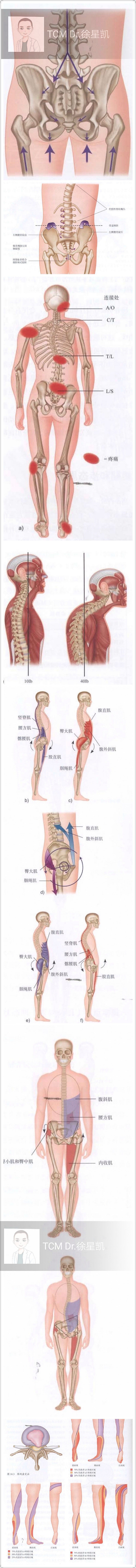 徐星凯培训用图.jpeg