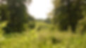Screen Shot 2022-09-19 at 11.53_edited.jpg