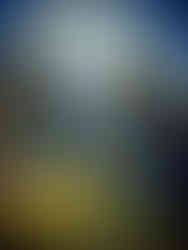 Prism of Trees