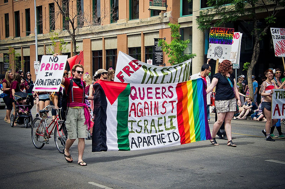 Not in My Name: On Pinkwashing, Palestine, and Queer Solidarity 