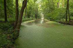 Netherlands, Heemstede