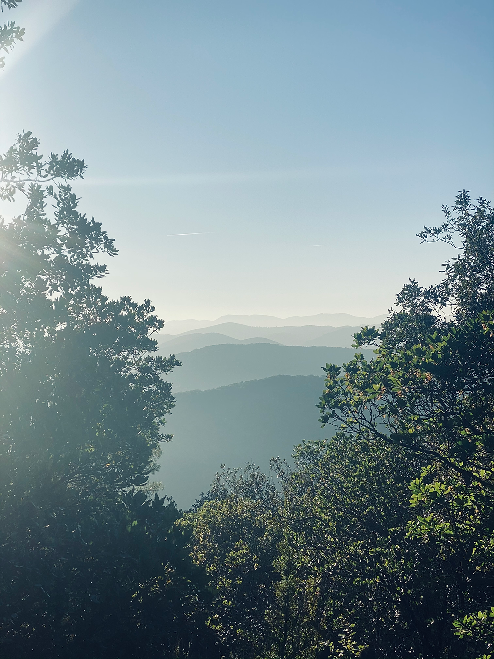 Panorama Randonnée Cévennes