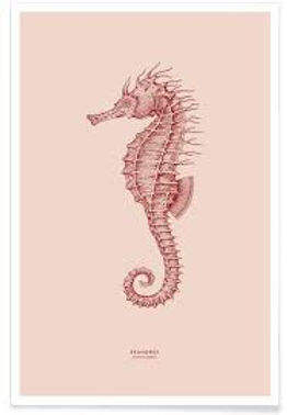 seahorse 2.jpeg