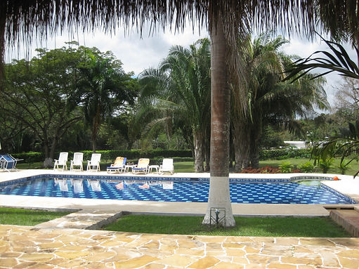Copia de IMG_0334.JPG