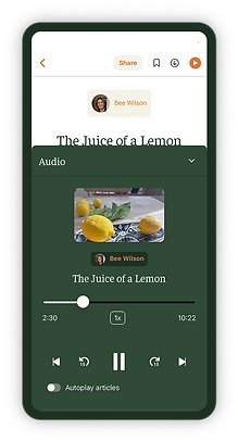 food audio.png