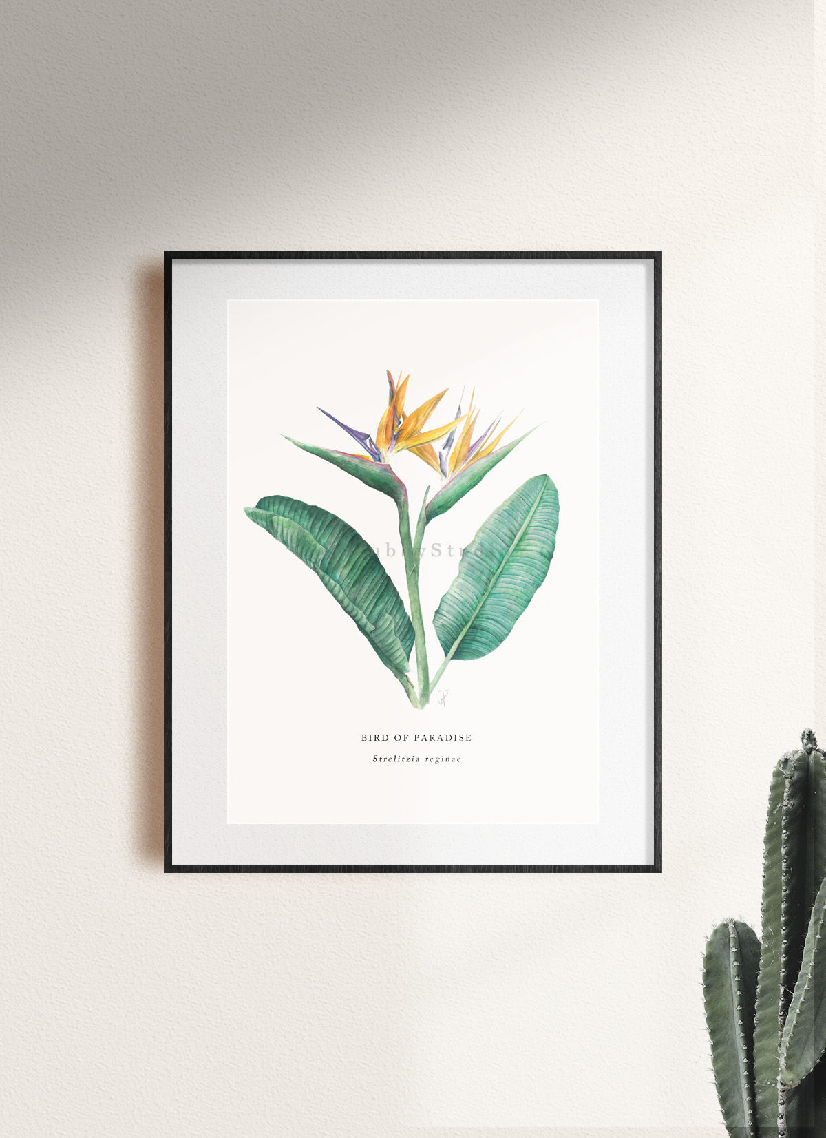 Birds of Paradise print - Botanical & Houseplant Collection