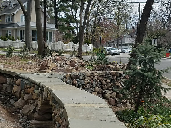 20180424_113239.jpg