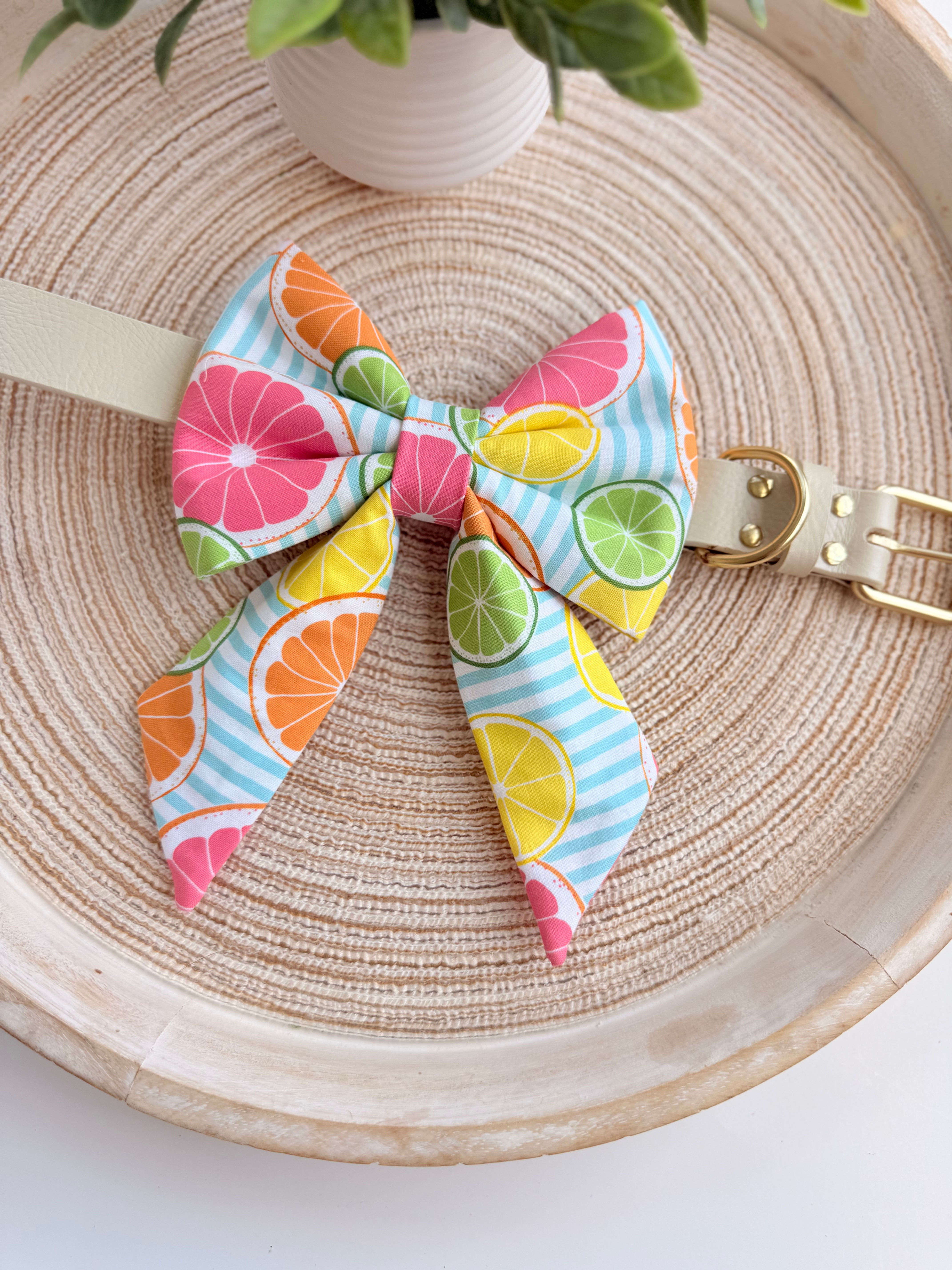 Slice of Summer Lady Bow