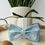 Thumbnail: Blue Meadow Bow Tie