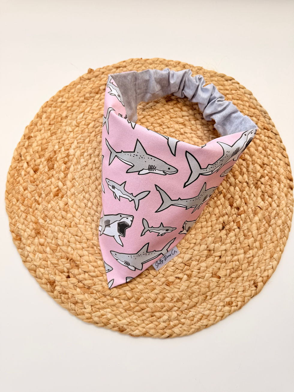 Thumbnail: Shark Girl