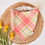 Thumbnail: Spring Time Plaid