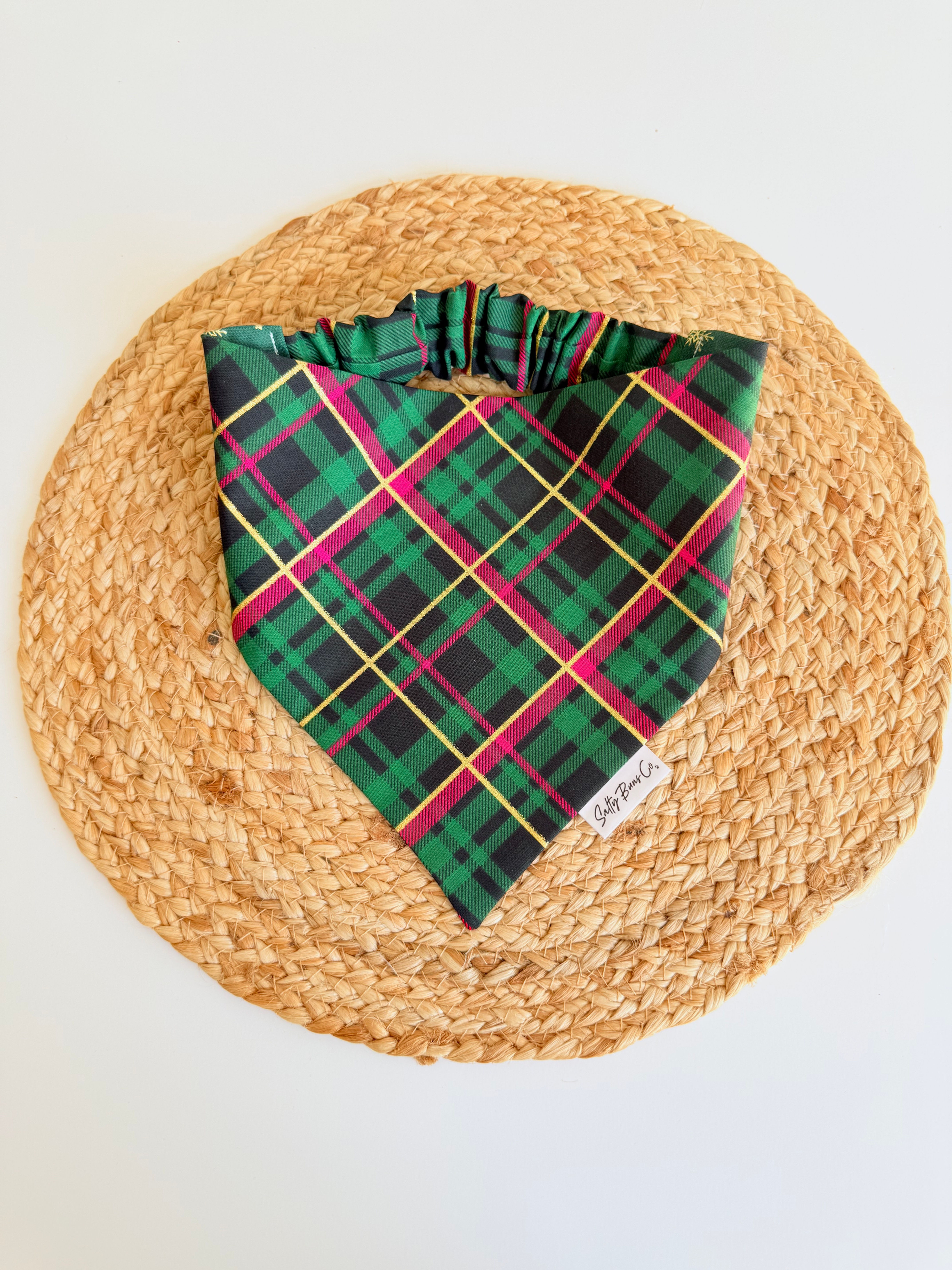 Home for the Holidays