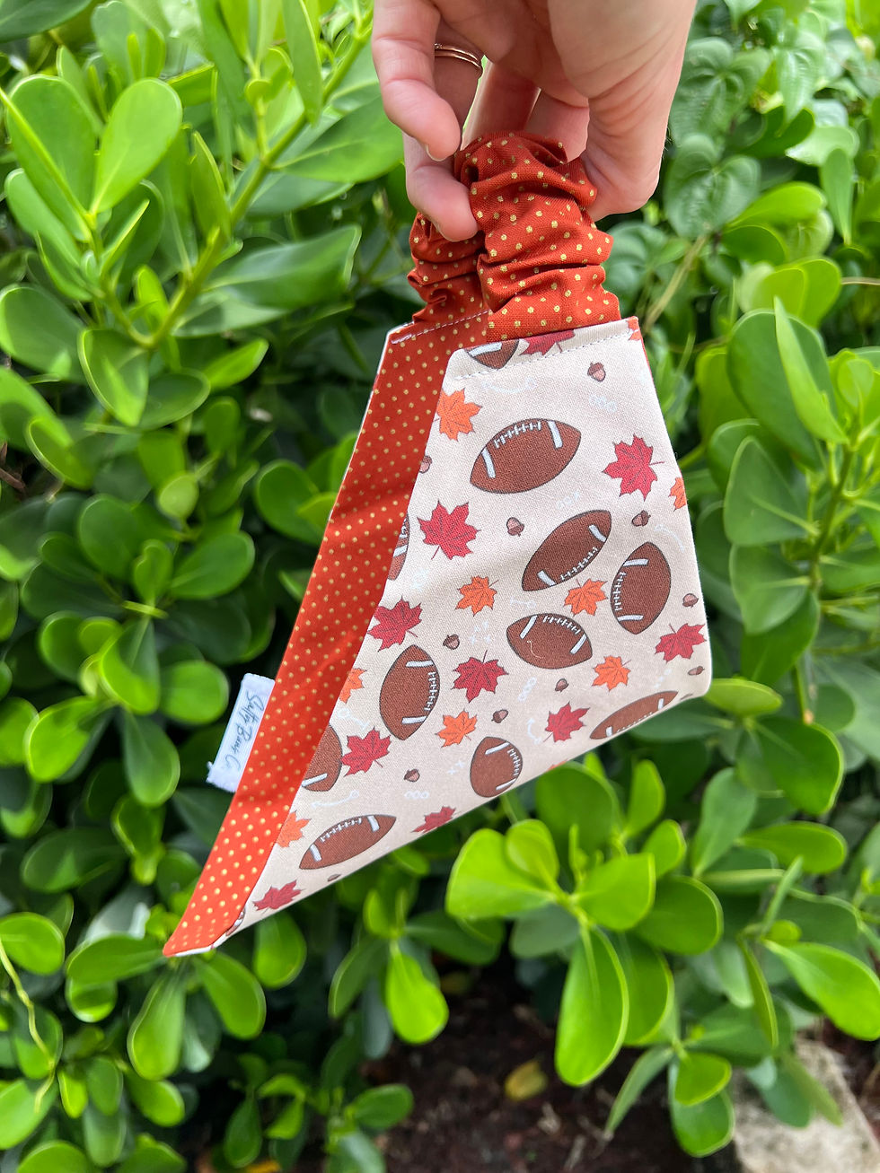 Thumbnail: Football Season