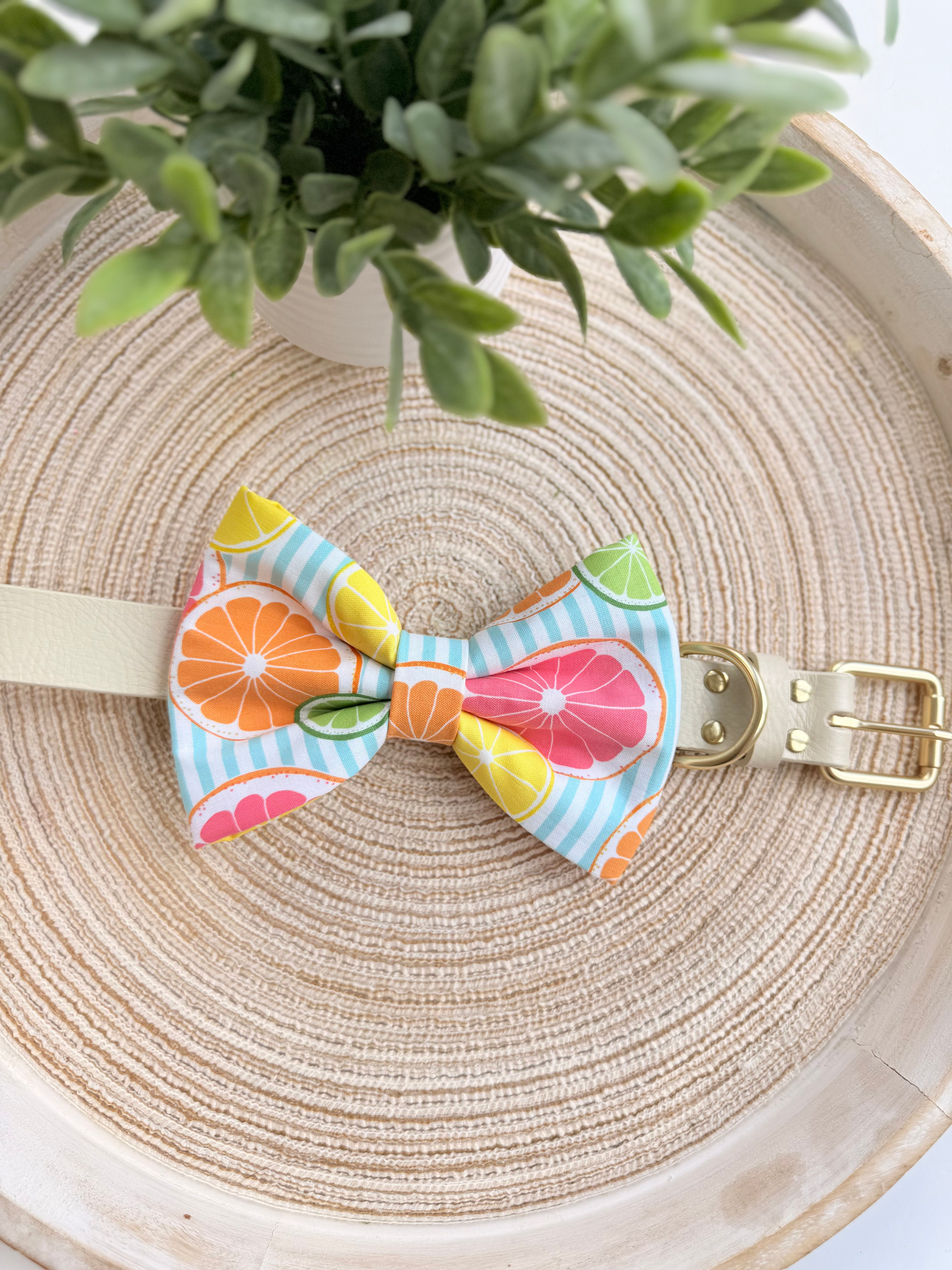 Slice of Summer Bow Tie