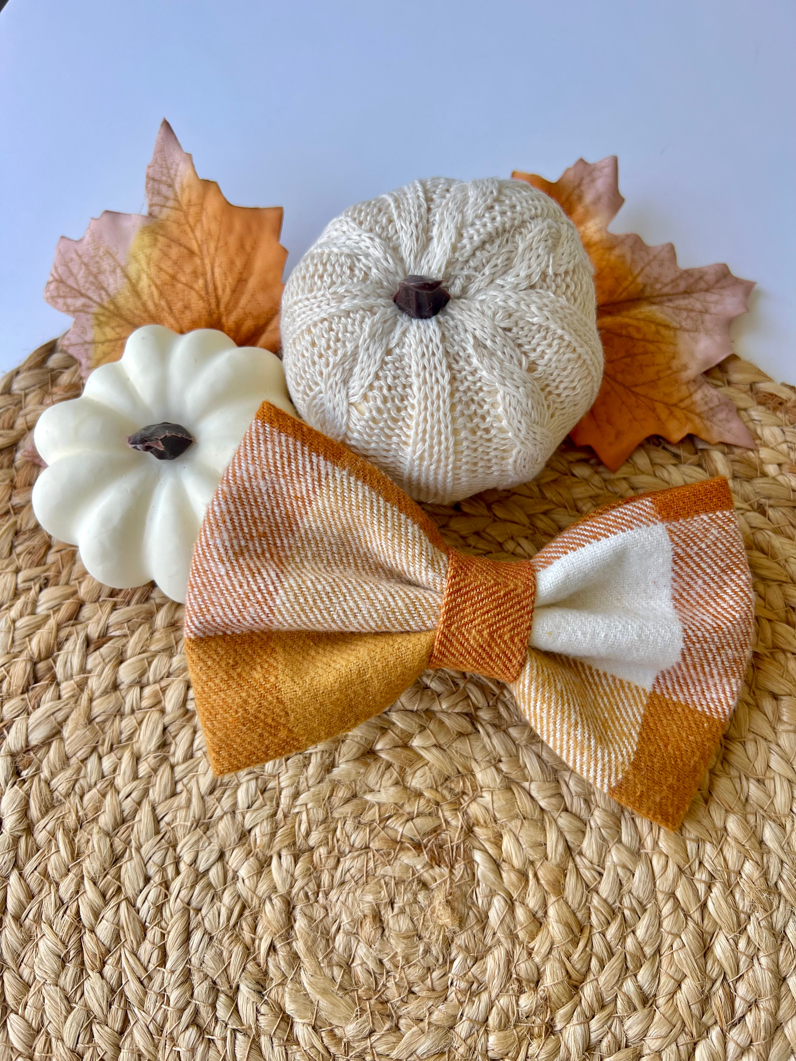 Pumpkin Patch