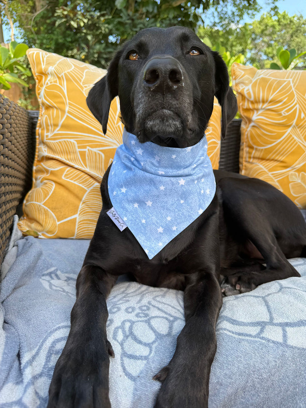 Thumbnail: Cherry Bomb