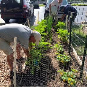 Planting the Garden
