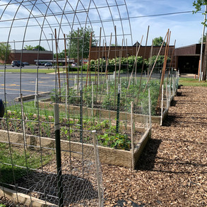 The SCL Parish Victory Garden