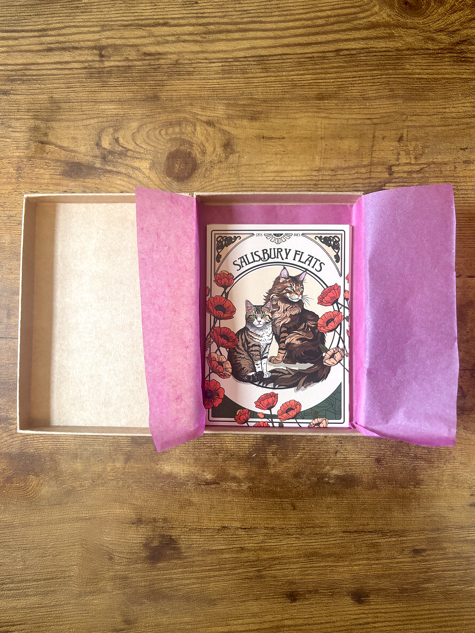 Thumbnail: Cats of the Avenues A6 Postcard Gift Set