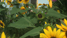 "How Has Your Journey Been Since Our Last Chat?" I bought a house!