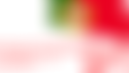 Portugal: New 10-Year Citizenship Law Approved