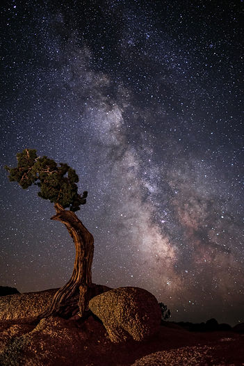 Juniper_Milky_Way_FINAL.jpg