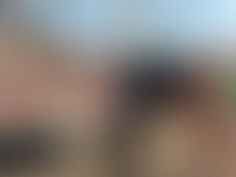 Garden Furniture and Shed Clearance – Bundled Services Explained