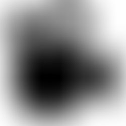 NOTIFICATION OF FILMING