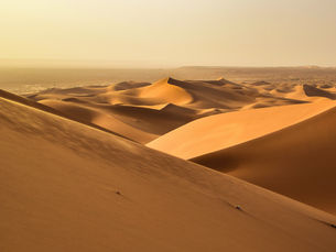 The Science Behind Sand Dunes: Understanding the Terrain of SAZ's Tours