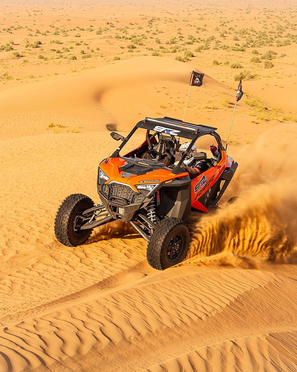 Desert Buggy Tour