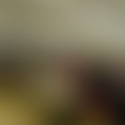 Audience attentively listening in a conference room with red chairs. NHS banner in background. People taking notes, focused and engaged.