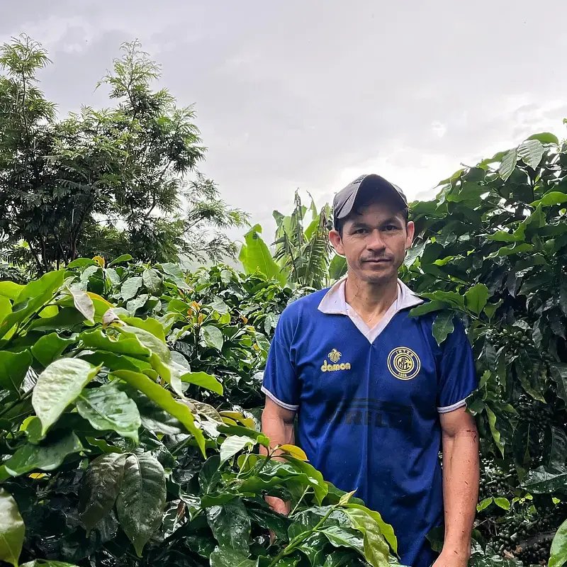 Miniature : Pérou - Sequiapampa