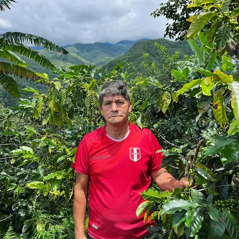 Miniature : Pérou - Sequiapampa