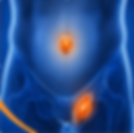 Screenshot 2026-07-13 at 12.37.12 AM.png