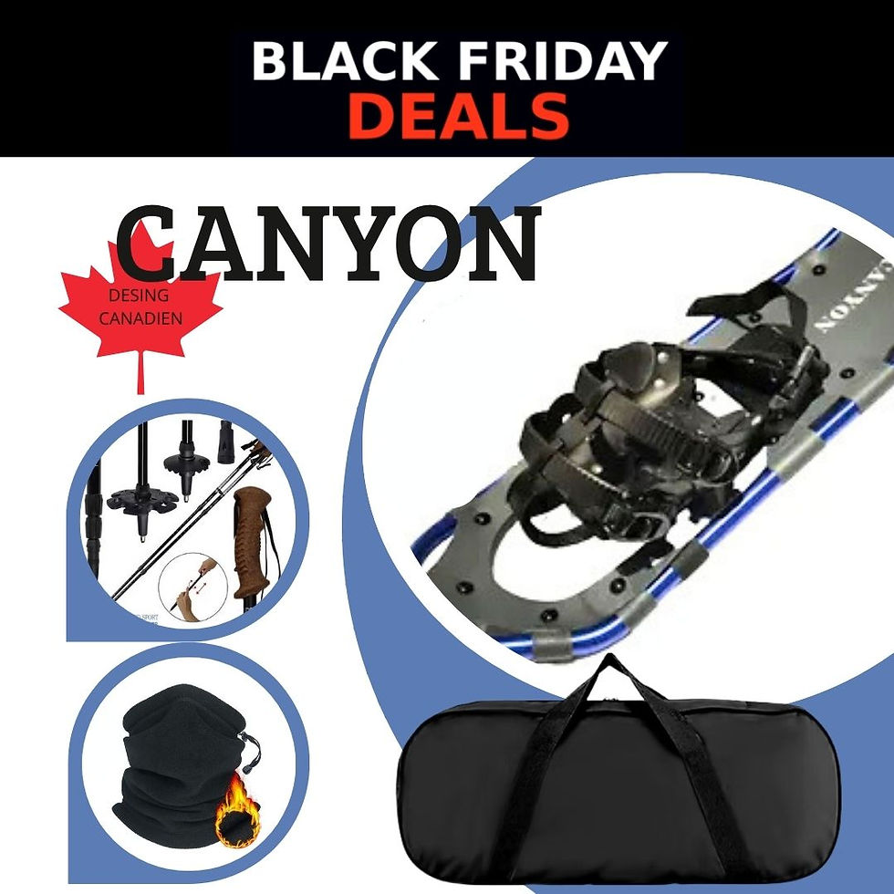 Ensemble complet de raquettes à neige CANYON 2.0 ENERGETIK, bâtons télescopiques et sacs de transport inclus