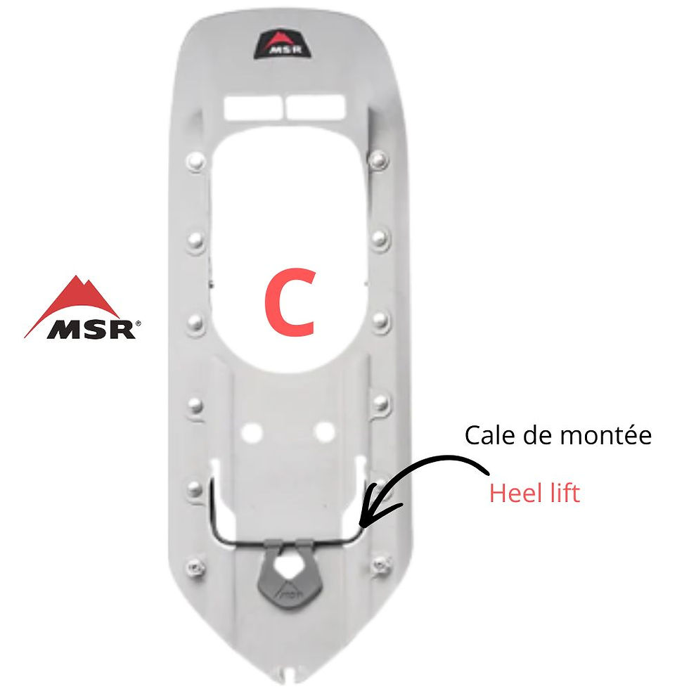 Miniature : 1 Base de Raquette à neige MSR EVO - DENALI  22 pouces – Avec traction renforcée