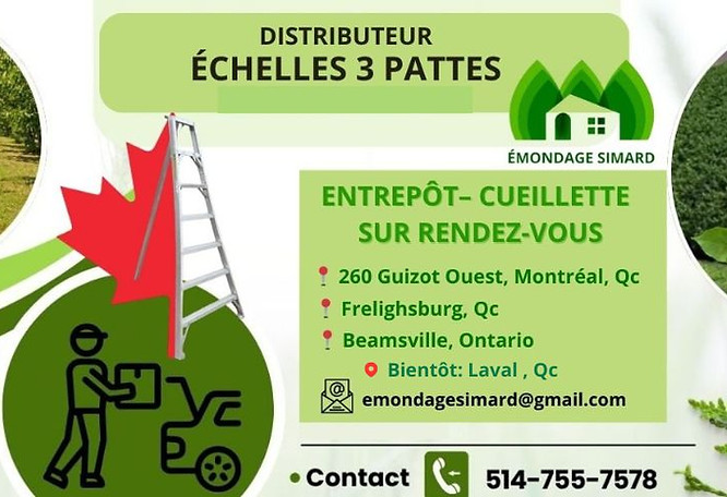 echelle-3-pattes-tripode-jardin-paysagiste-taille-cedre-haie-pomme-verger.-montreal-laval-