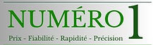 emondage-simard-no-1-elagage-branches-arbres-taille-haie-cedre-laval-montreal-blainville-boisbriand-fabreville-auteuil-vimont-ste-dorothee-chomedey-pont-viau-laval-des-rapides-sainte-rose