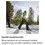 Miniature : adulte-adult snowshoes-. ÉVOLUTIVE 25 pouces..  Raquette à neige Homme Femme